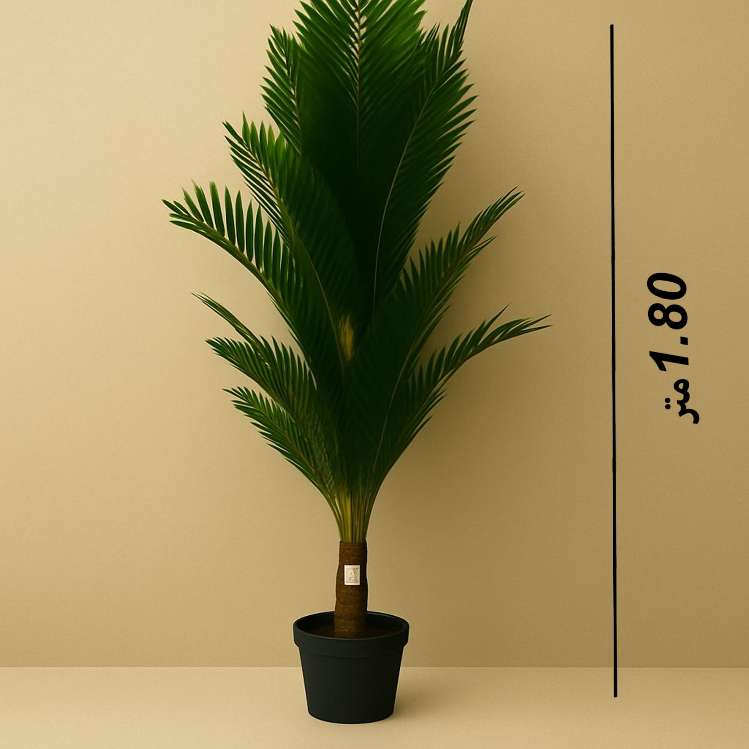 product_img1