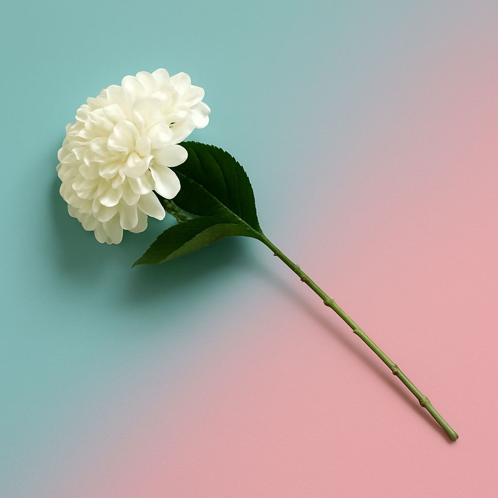 product_img1